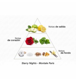 Intensive sternenklare Nächte 100 ml - Montale Paris Kostenlose Beratung und Sendungen!