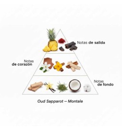 Oud Sapparot 100 ml - Montale Paris Kostenlose Beratung und Sendungen!