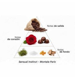 Sinnliches Instinkt 100ml - Montale Paris Kostenlose Beratung und Sendungen!