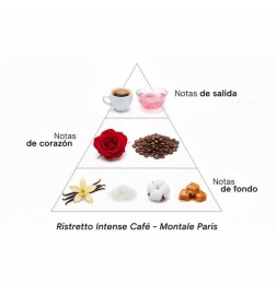 Ristretto intensiver Kaffee 100 ml - Montale Paris Kostenlose Beratung und Sendungen!