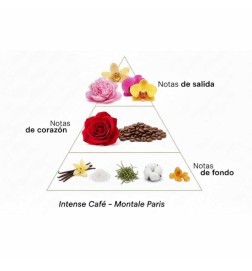 Intensiver Kaffee 100 ml - Montale Paris Kostenlose Beratung und Sendungen!