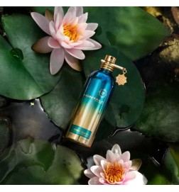Kräuter Aquatica 100ml - Montale Paris Kostenlose Beratung und Sendungen!