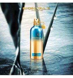 Kräuter Aquatica 100ml - Montale Paris Kostenlose Beratung und Sendungen!