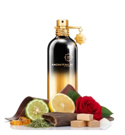 AOUD NACHT 100 ML - Montale Paris Kostenlose Beratung und Sendungen!
