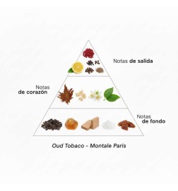 Oud tobacco 100 ml - Montale Paris Kostenlose Beratung und Sendungen!