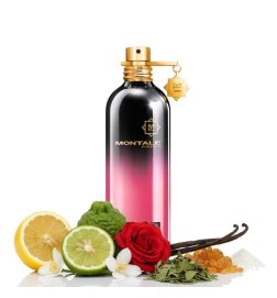 Sternenköpfe 100ml - Montale Paris Kostenlose Beratung und Sendungen!
