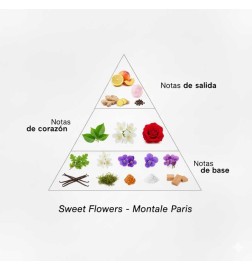 Süße Blumen 100 ml - Montale Paris Kostenlose Beratung und Sendungen!