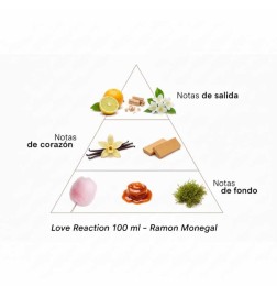 Liebesreaktion 100 ml - Ramon Monegal Kostenloser Versand!