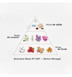 Attraktive musk eDP - Ramon Monegal Kostenloser Versand!