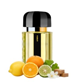 Umbra EDP - Ramon Monegal Kostenloser Versand!