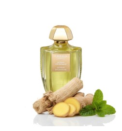 Citrus Bigarade - Creed Kostenlose Beratung und Sendungen!