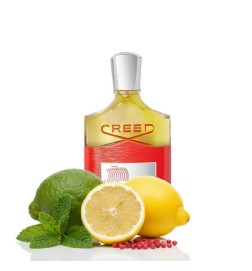 Wikinger - Creed Kostenlose Beratung und Sendungen!