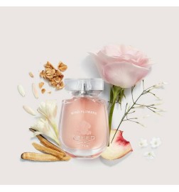 Windblumen - Creed Kostenlose Beratung und Sendungen!